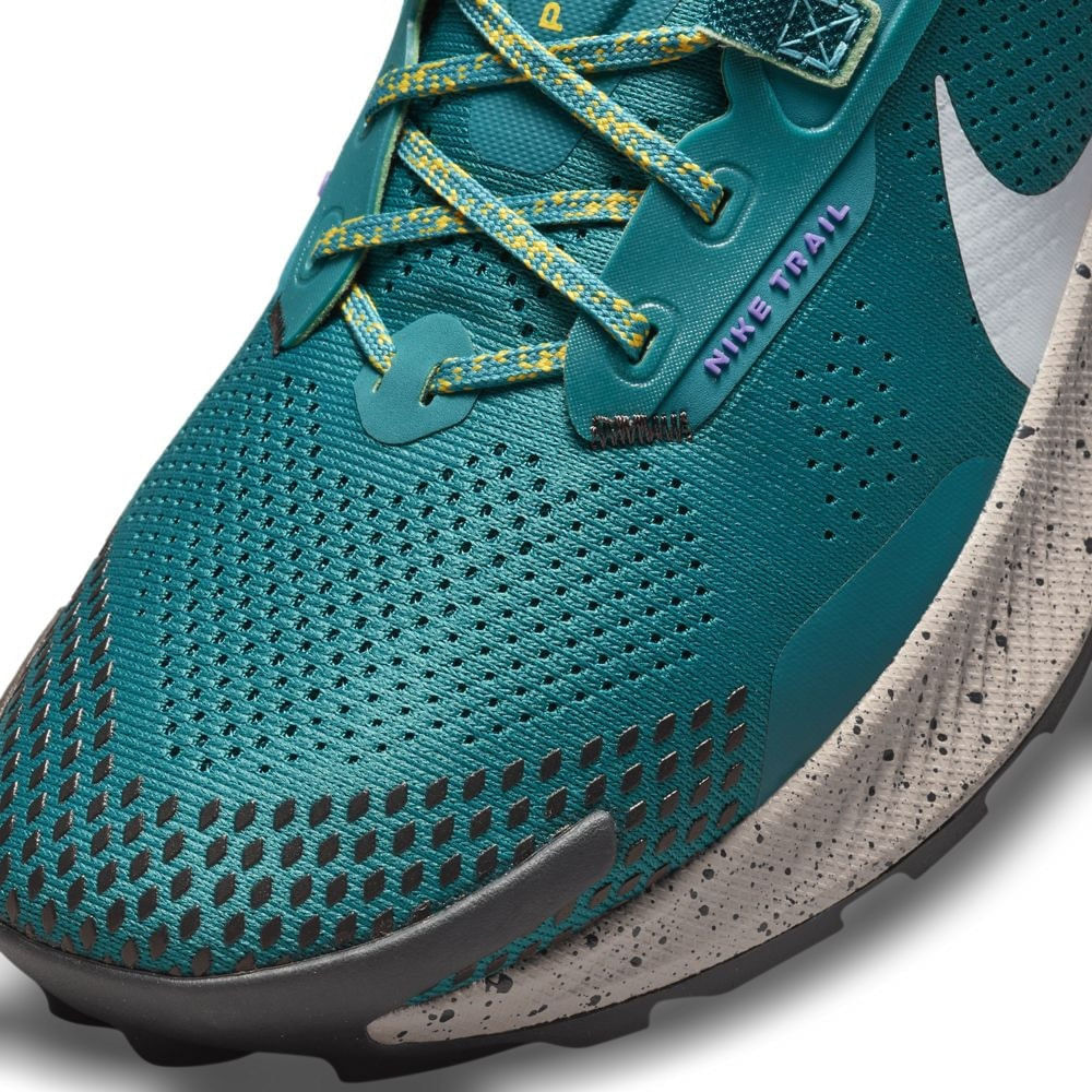 Tenis-Nike-Pegasus-Trail-3-Masculino