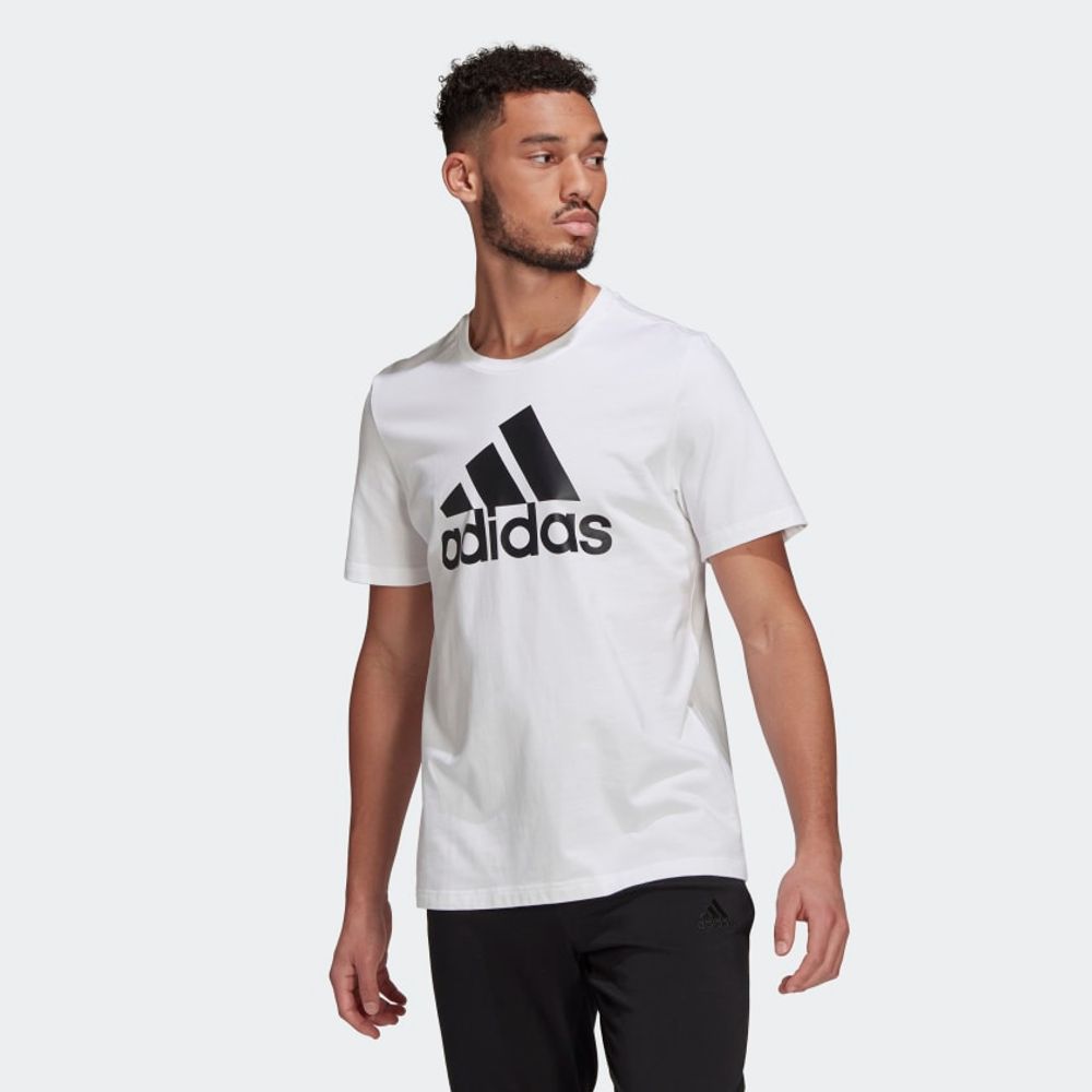 Blusa-Adidas-Essentials-Big-Masculino