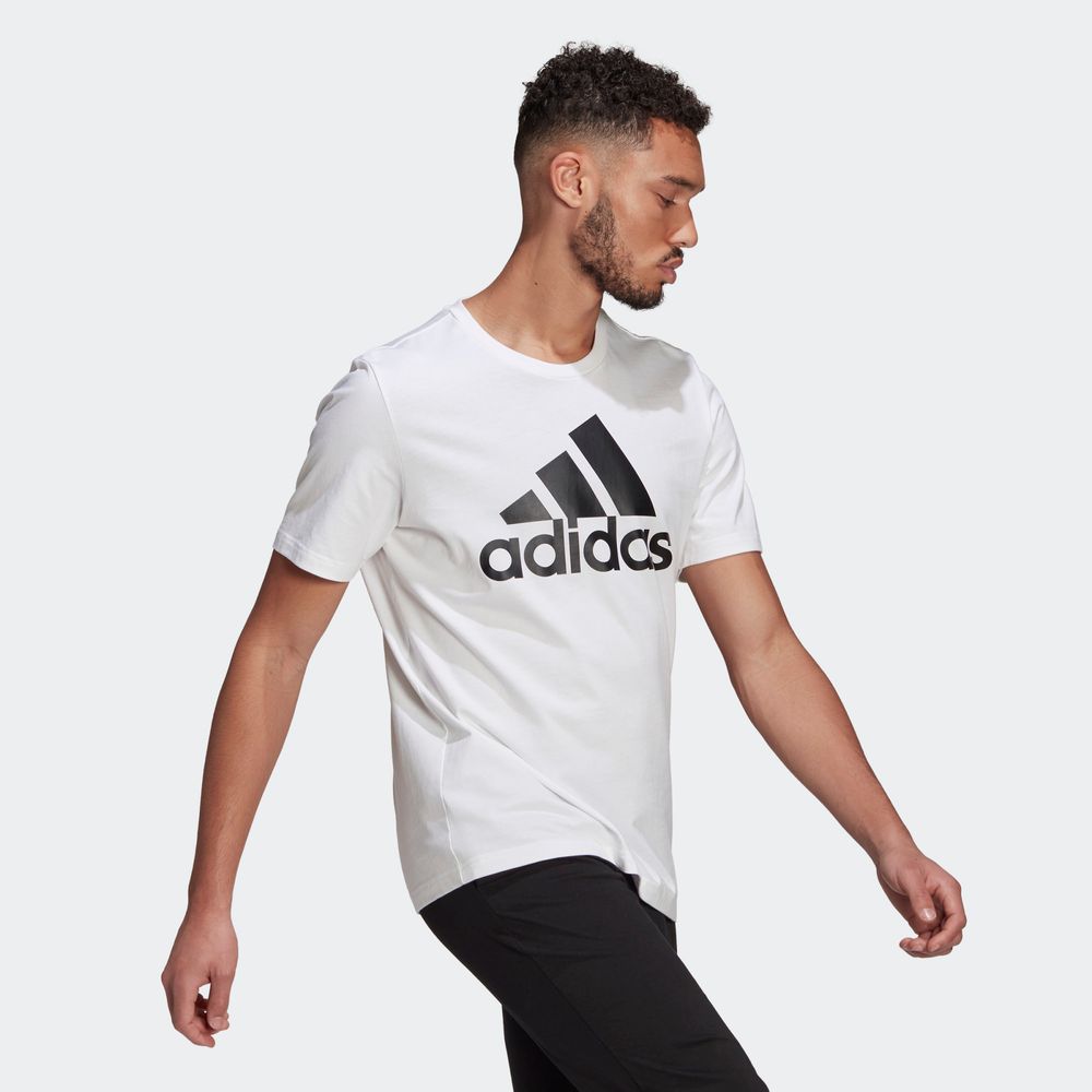 Blusa-Adidas-Essentials-Big-Masculino