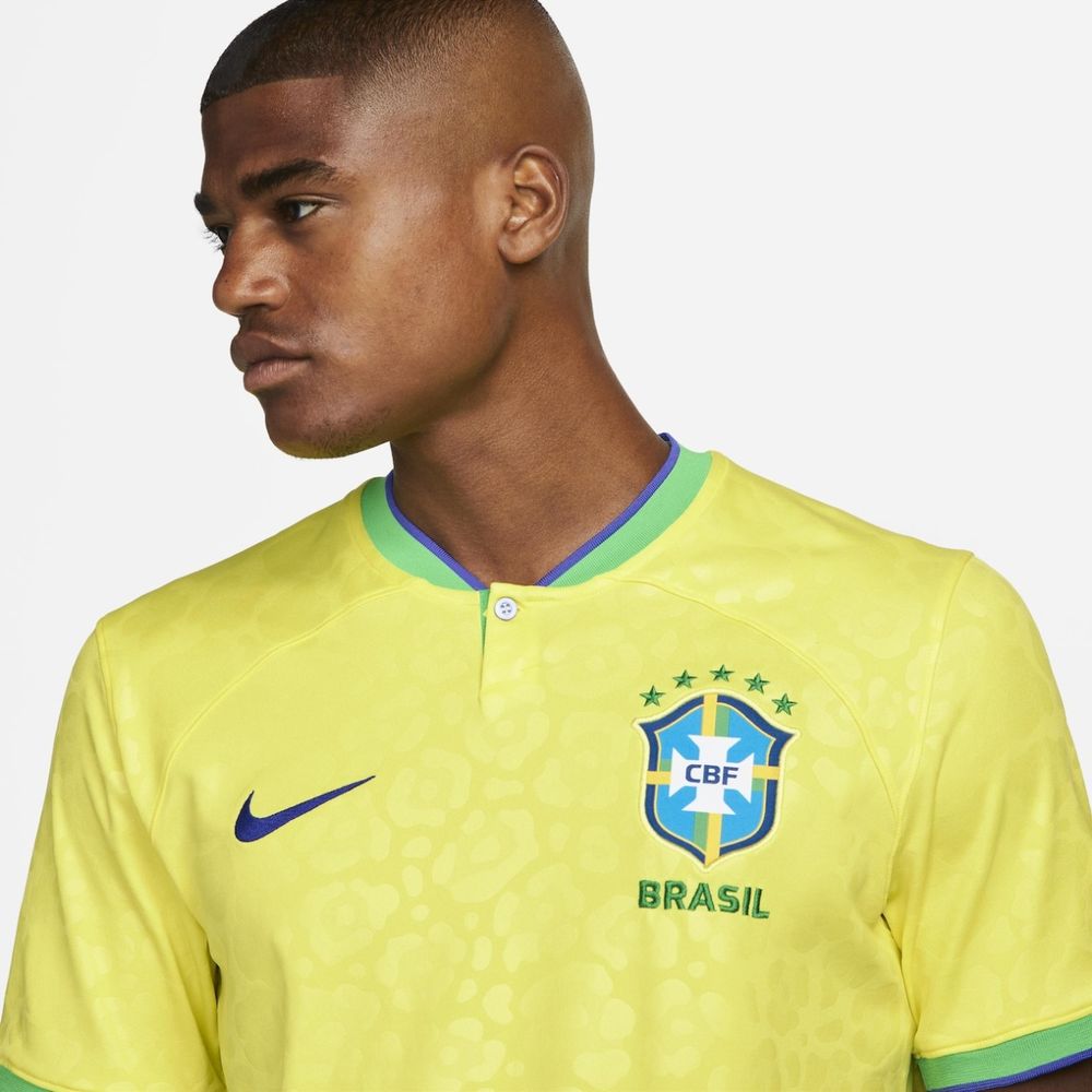 Camiseta Nike Brasil I 2022/23 Torcedor Pro Masculina - nortista