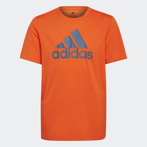 Camiseta-Adidas-Designed-To-Move-Big-Logo