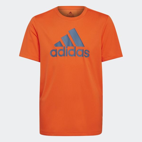 Camiseta-Adidas-Designed-To-Move-Big-Logo