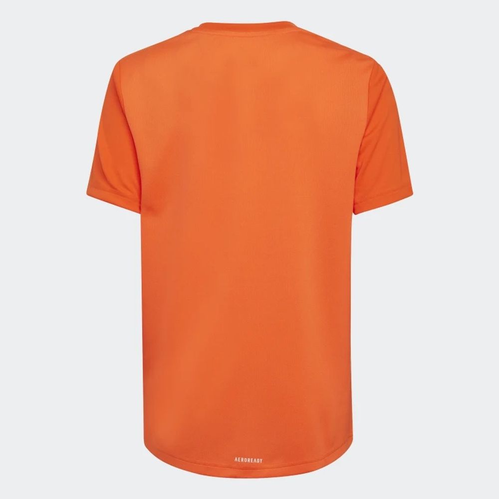 Camiseta-Adidas-Designed-To-Move-Big-Logo