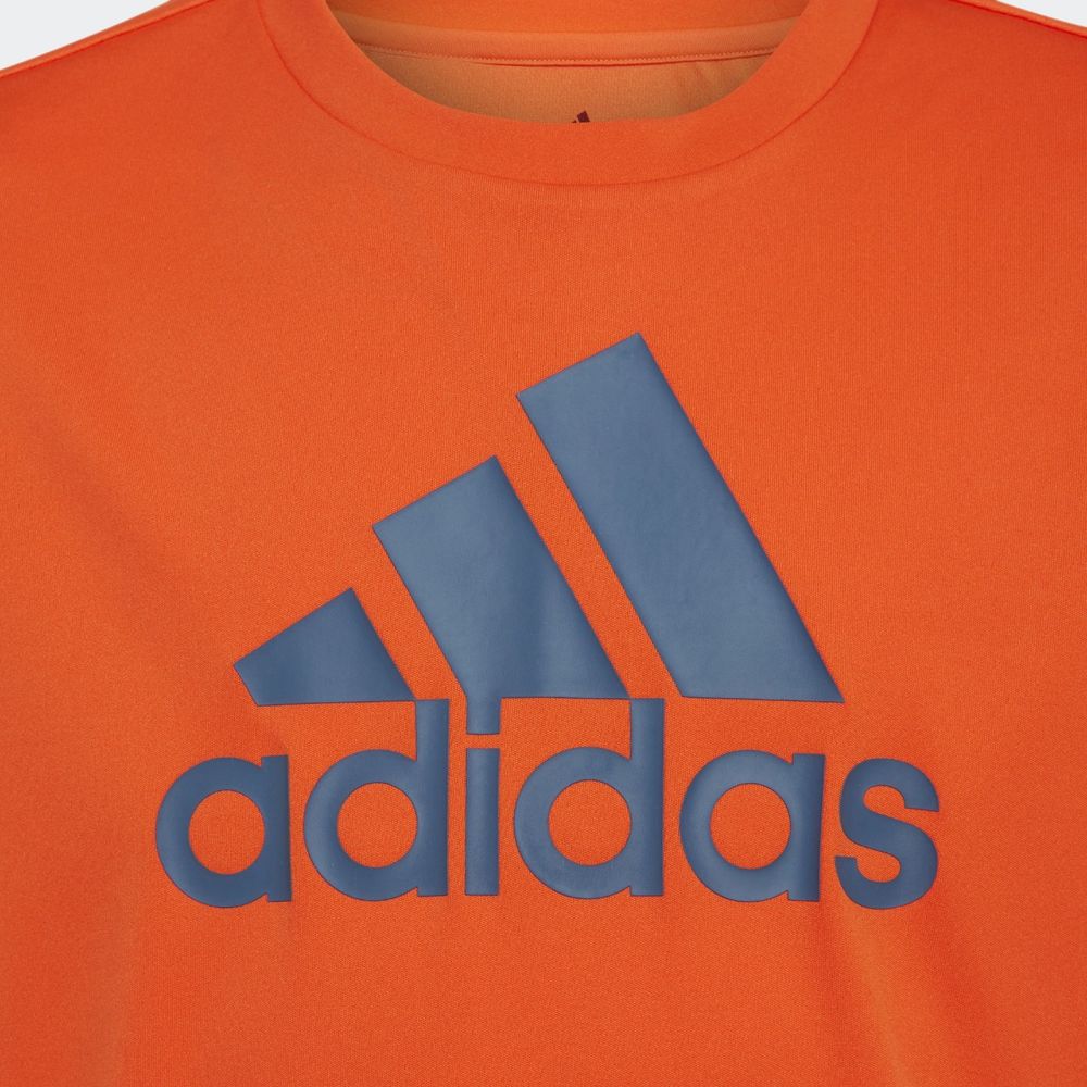 Camiseta-Adidas-Designed-To-Move-Big-Logo