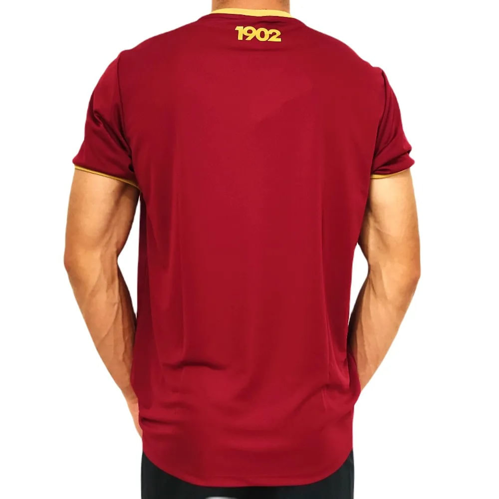 Camiseta-Braziline-Fluminense-Character-Masculina-