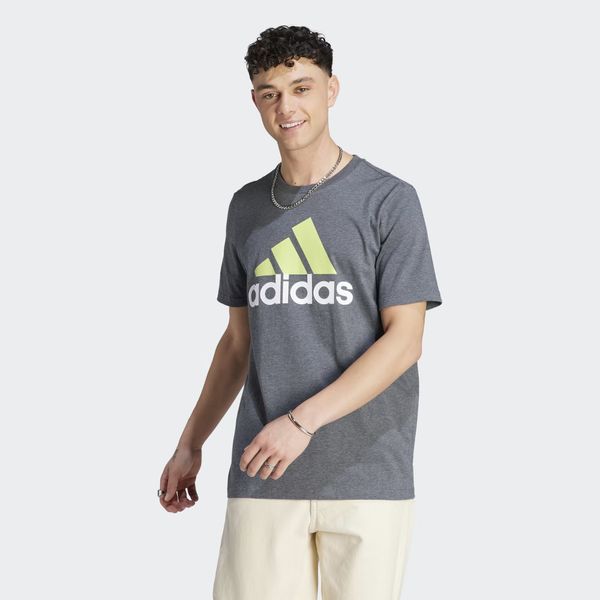 Camiseta-Adidas-Essentials-Single-Jersey-Big-Logo